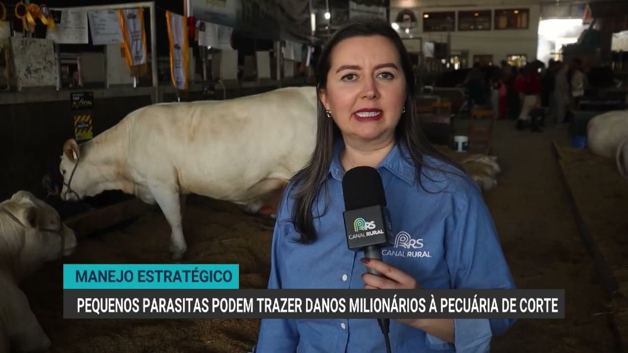 Prejuízos com carrapatos na pecuária podem superar R$ 300 milhões