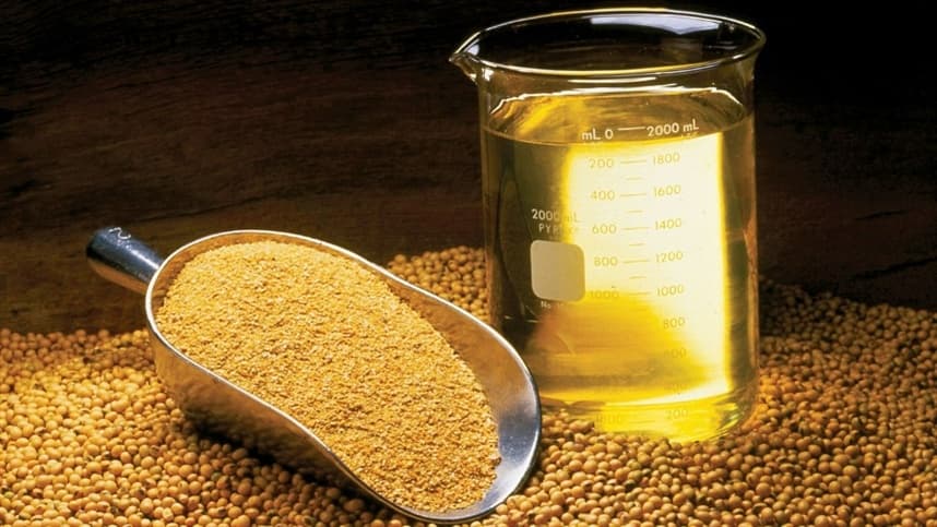 Óleo de soja se valoriza no mercado internacional em abril