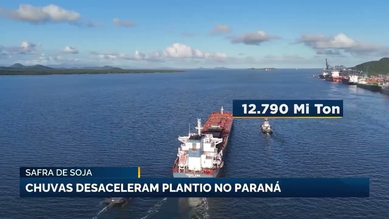 Safra de soja no Paraná enfrenta desafios com excessos de chuvas