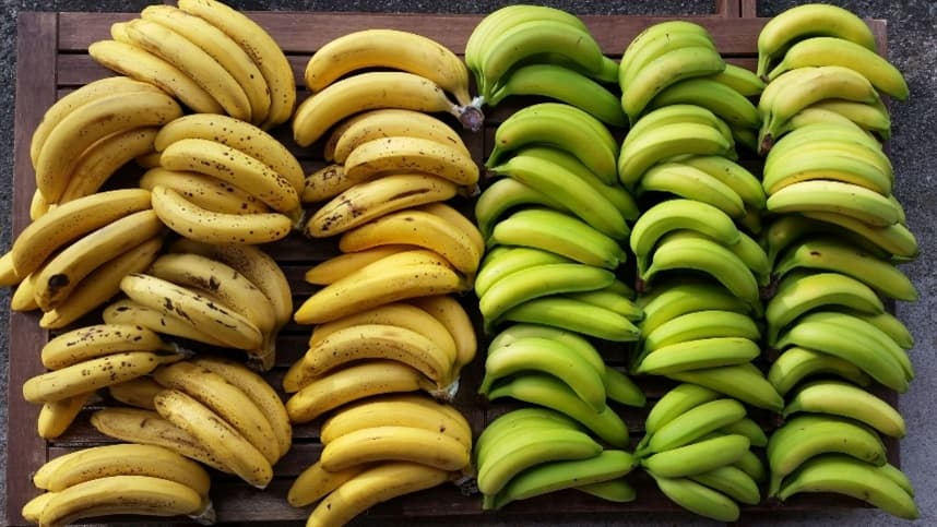 Mudança na oferta de bananas: agosto marca transição no mercado
