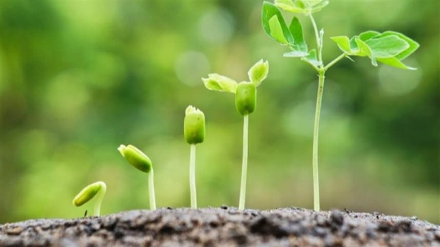 Análise de solo essencial para decisões na agricultura