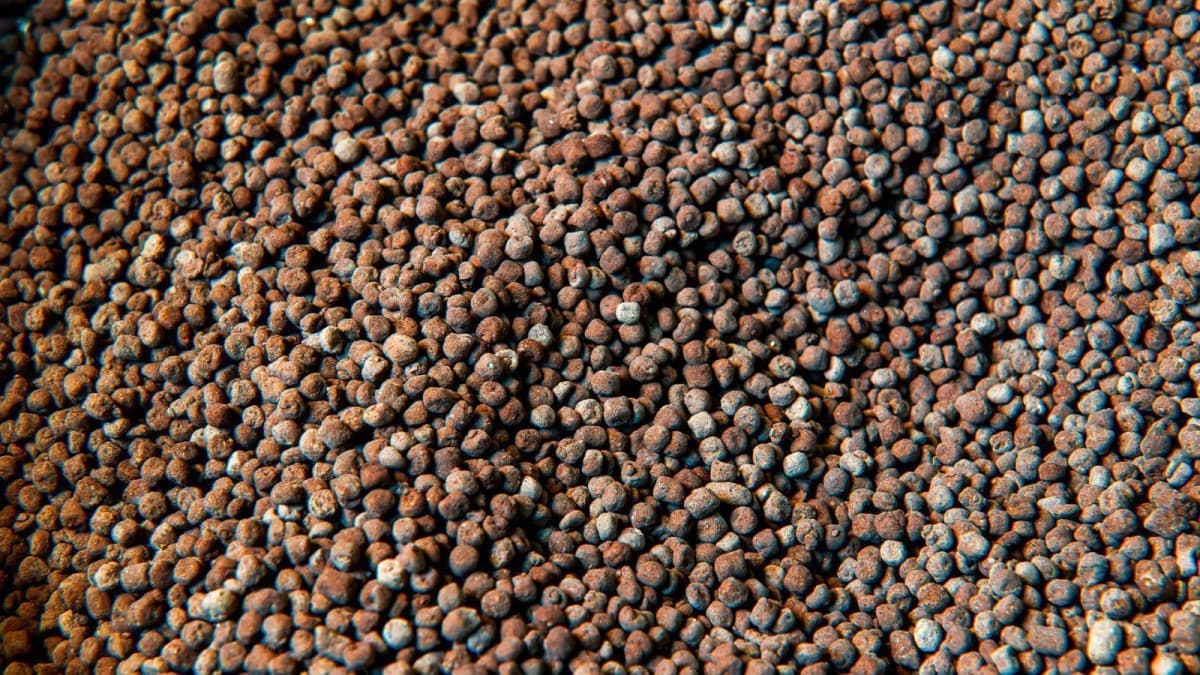 ANDA considera Profert um avanço, mas pede mais ações para reduzir importações de fertilizantes