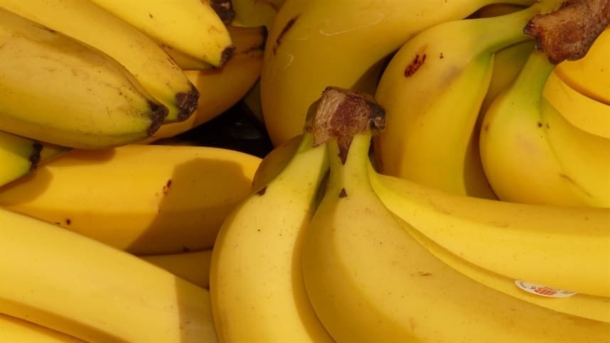 Clima afeta qualidade e oferta de banana nanica em São Paulo