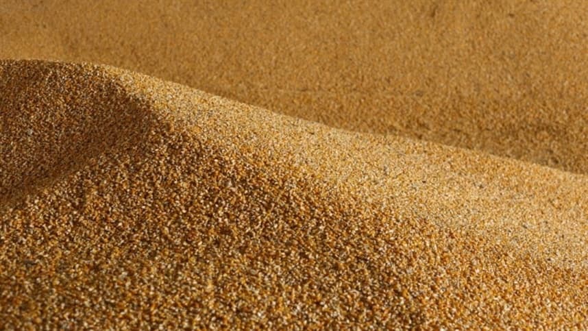 Preço do milho se mantém estável no Brasil apesar da colheita