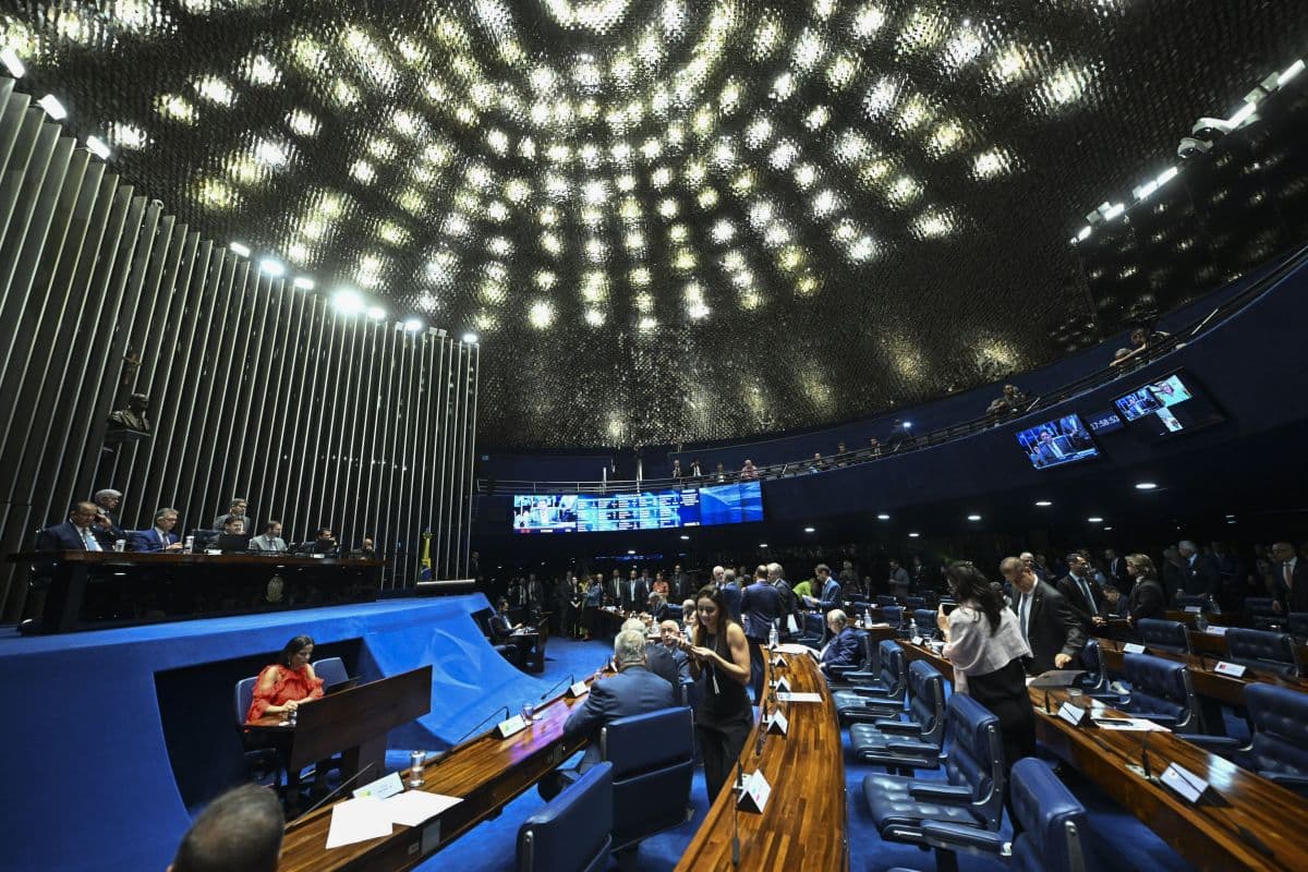 Candidatos ao Senado em Minas Gerais: Marília Campos Lidera Intenções de Voto