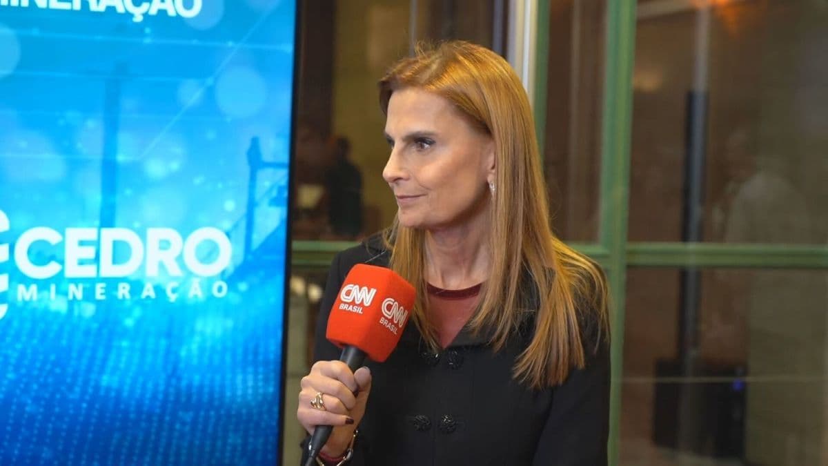 Marisa Cesar pede critérios claros para novo conselho de minerais críticos