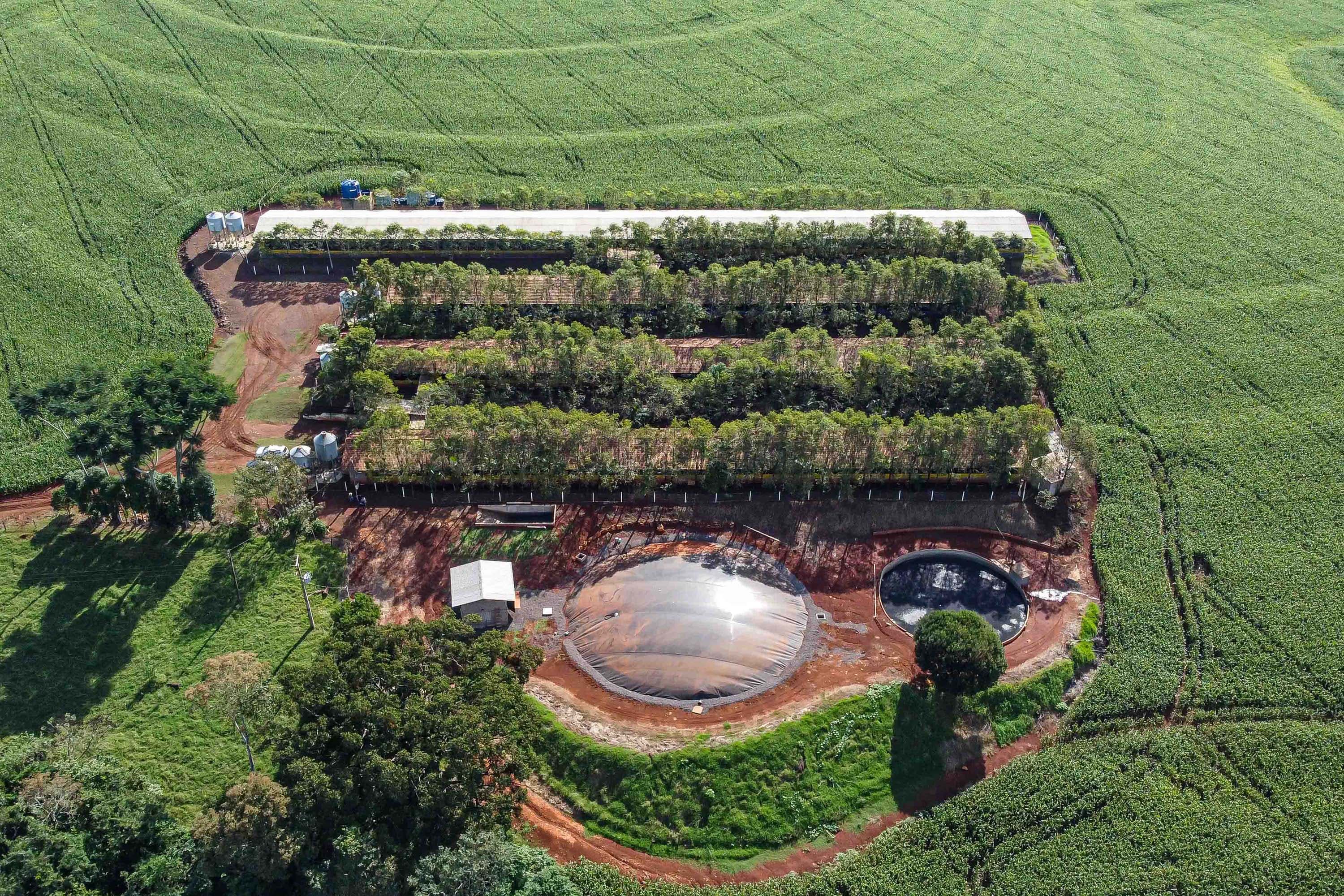 Biogás e biometano em alta no Brasil: Fórum debaterá desafios