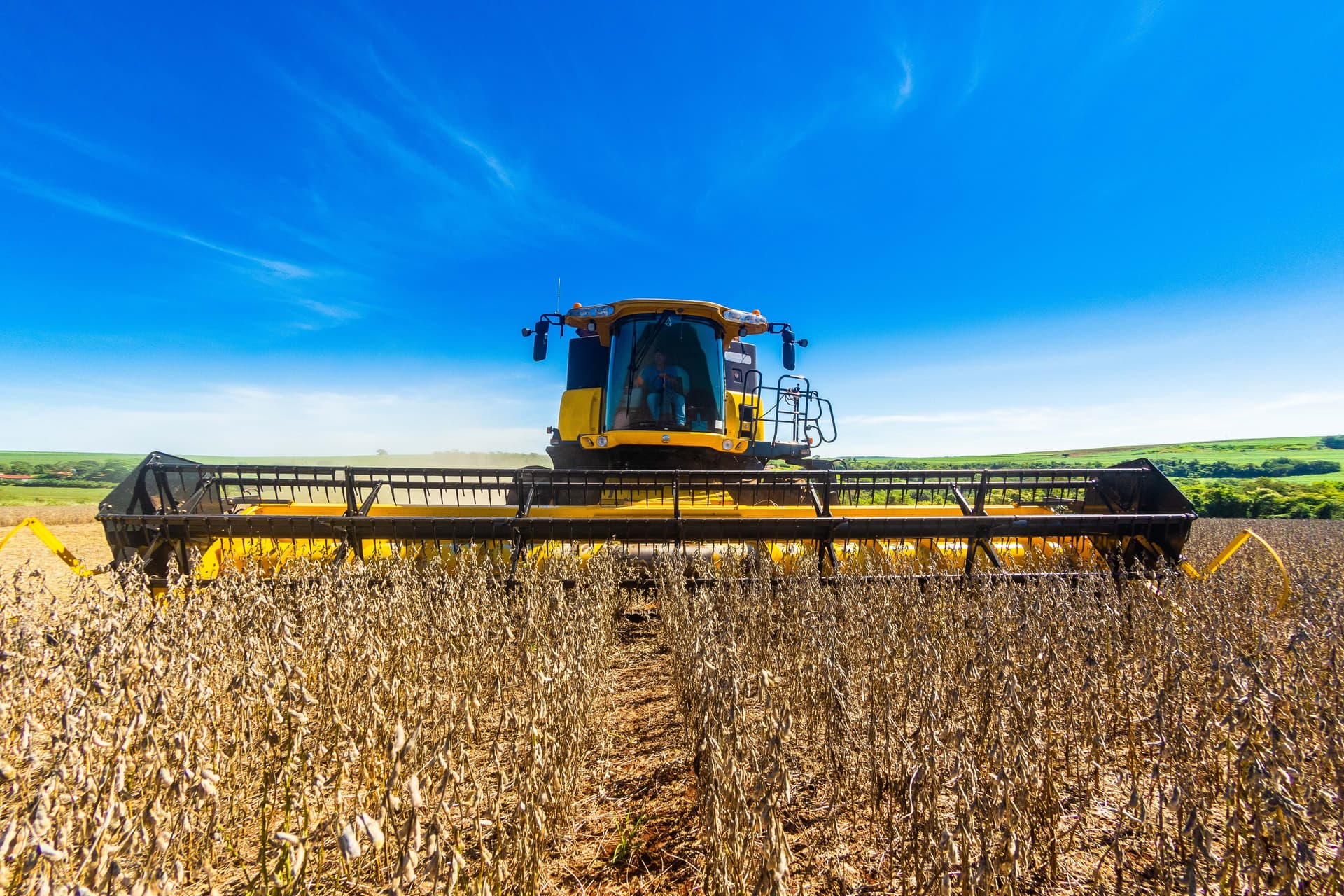 PIB agropecuário registra leve alta e gera otimismo em 2026