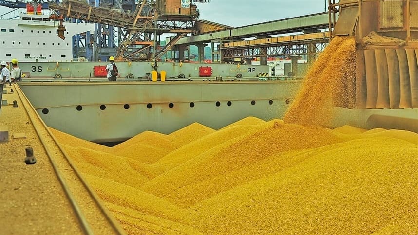 Escassez de iniciativas no setor da soja
