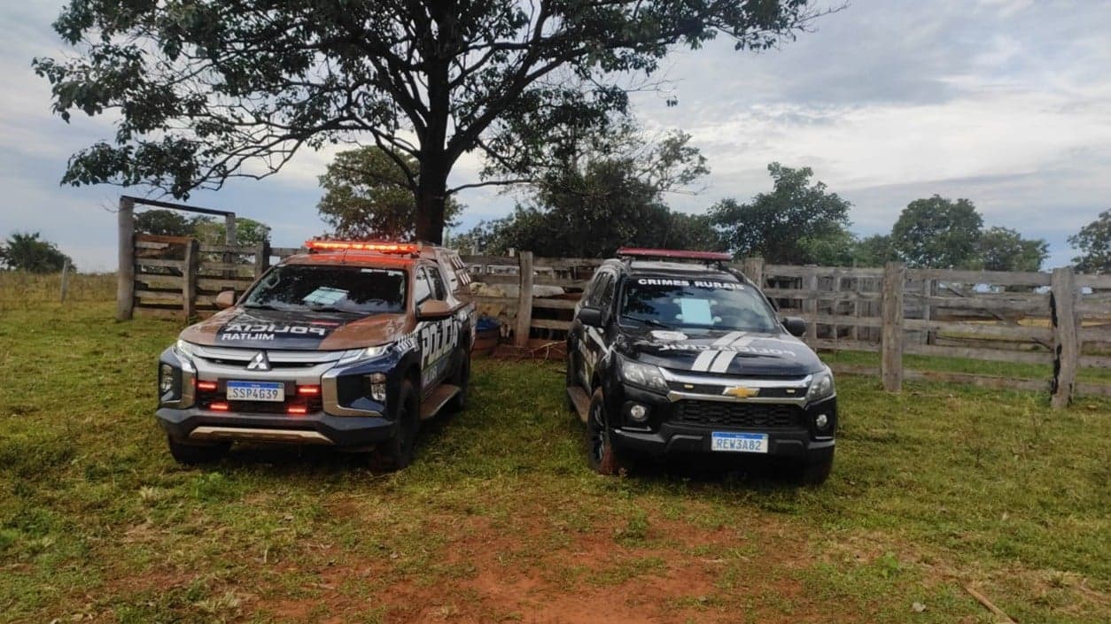 PM de MS recupera 30 cabeças de gado furtadas em Maracaju