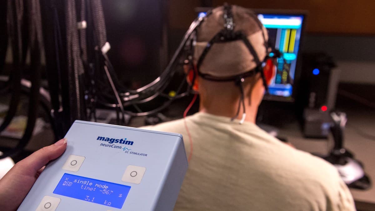 Estimulação elétrica facial pode melhorar conectividade neuronal no hipocampo