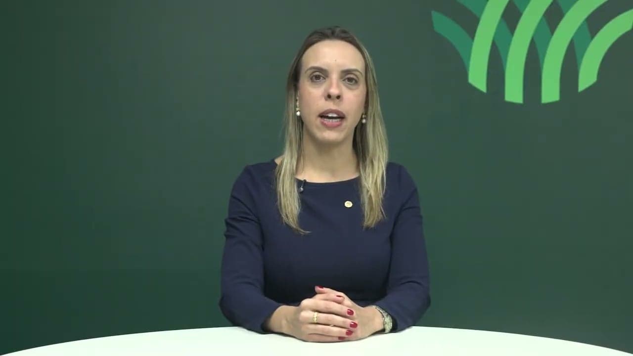 Café deve se tornar a terceira maior cultura do Brasil até 2026