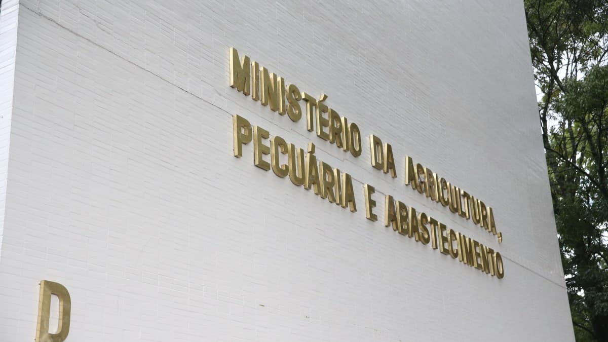 Ministério da Agricultura solicita suspensão das importações de carne de aves em SC