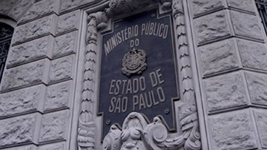 Ministério Público denuncia grupo por esquema clandestino de coleta de sangue de gatos
