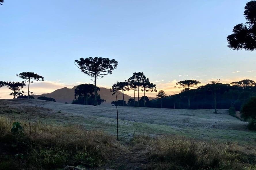 Inmet alerta sobre risco de geada após chuvas intensas no Sul