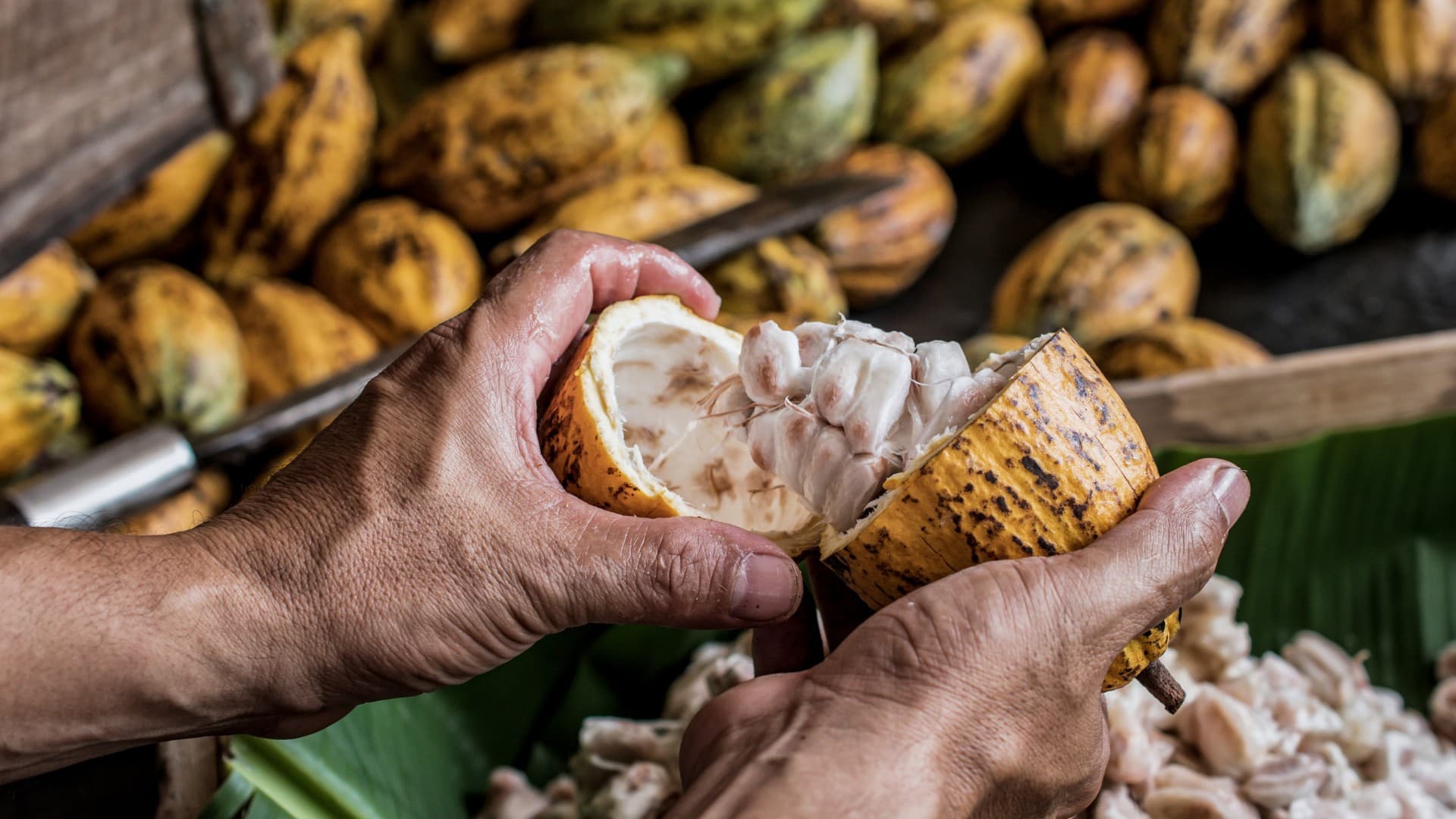 Cacau e suco de laranja sobem, enquanto café registra queda