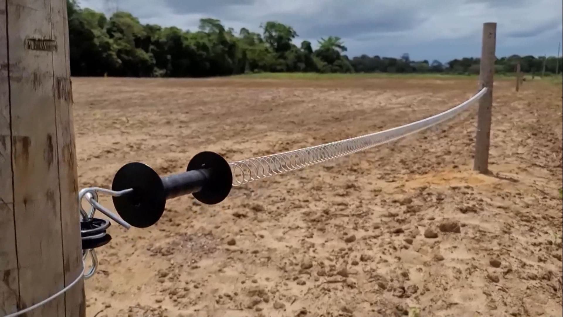Estiagem exige cuidados nas fazendas, afirma engenheiro agrônomo