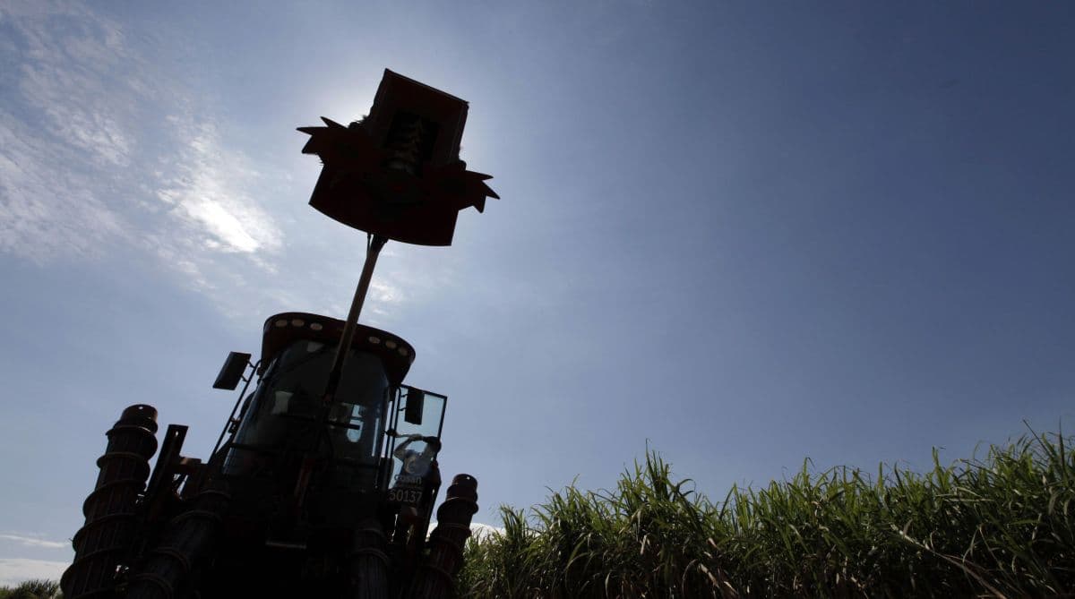 Aumento na mistura de etanol pode elevar preços, afirma Cepea