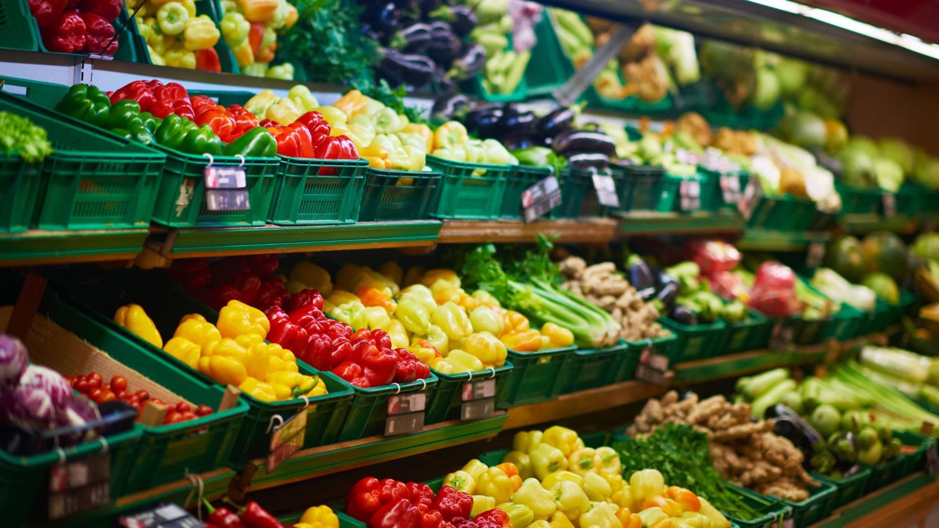 Setor de frutas e legumes deve se adaptar a desafios climáticos