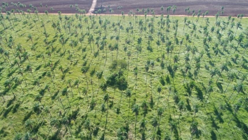 Regularização ambiental potencializa renda de produtores rurais em SP