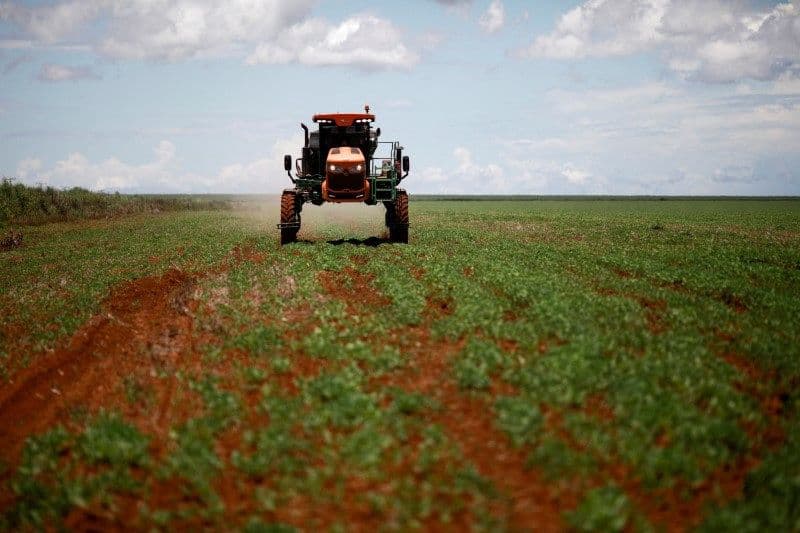 Governo pretende subsidiar fertilizantes para evitar alta de preços