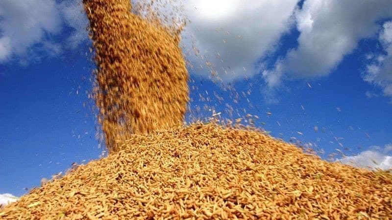 Preços de alimentos sobem e influenciam alta no índice da indústria em agosto