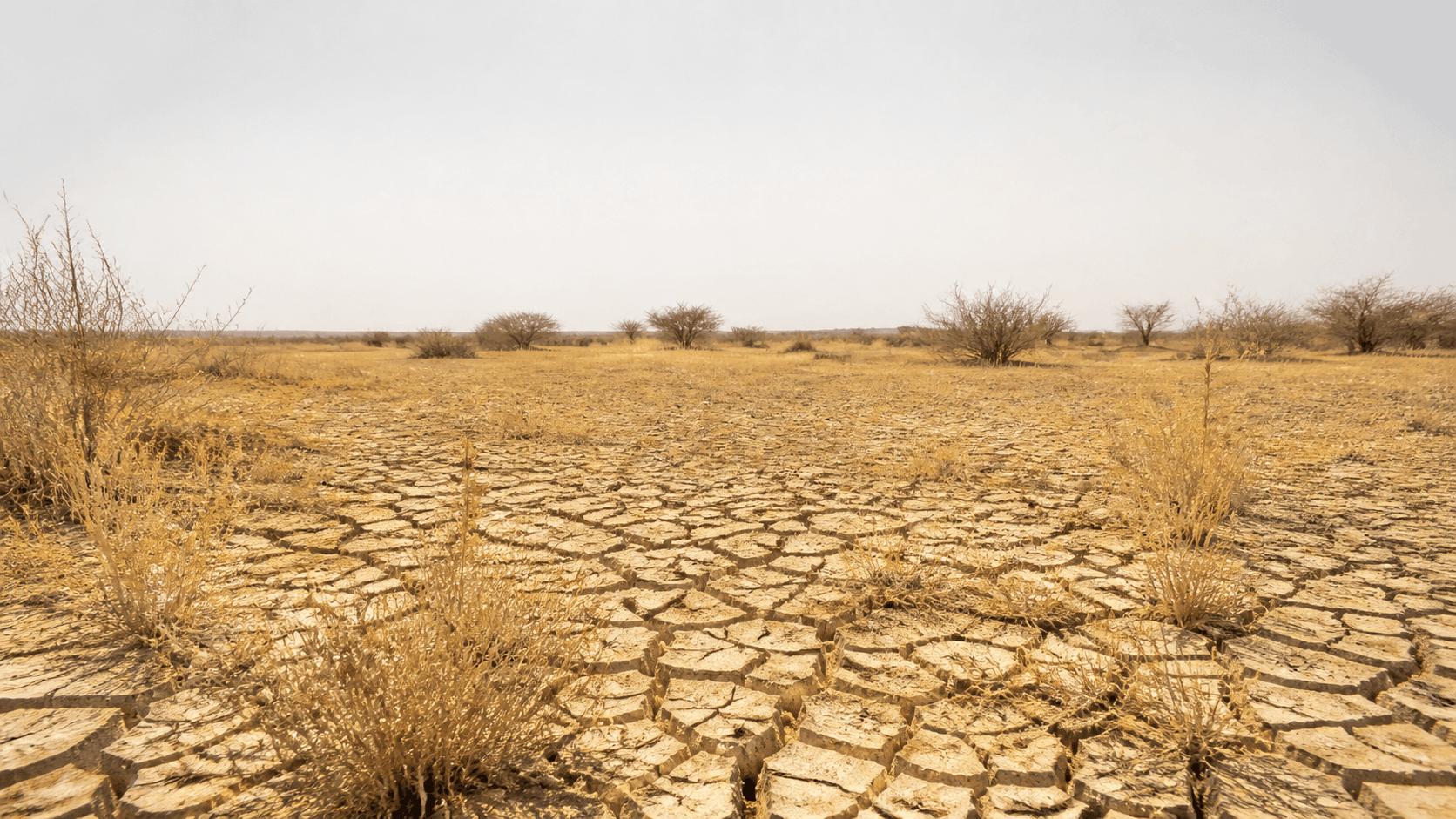 Inmet prevê onda de calor do Norte ao Sudeste do Brasil