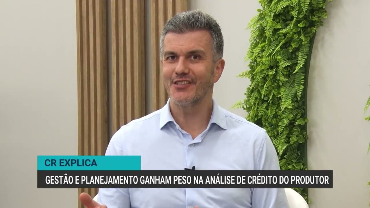 Análise de crédito rural: chave para financiamento no agronegócio