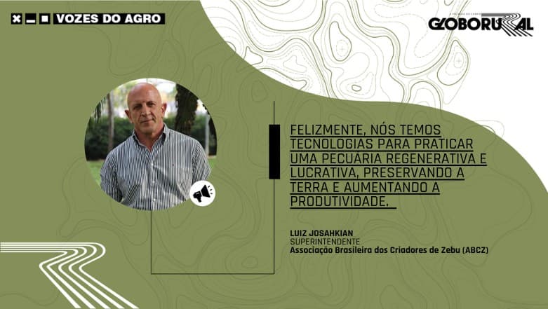 Pecuária brasileira enfrenta desafios e busca inovação sustentável