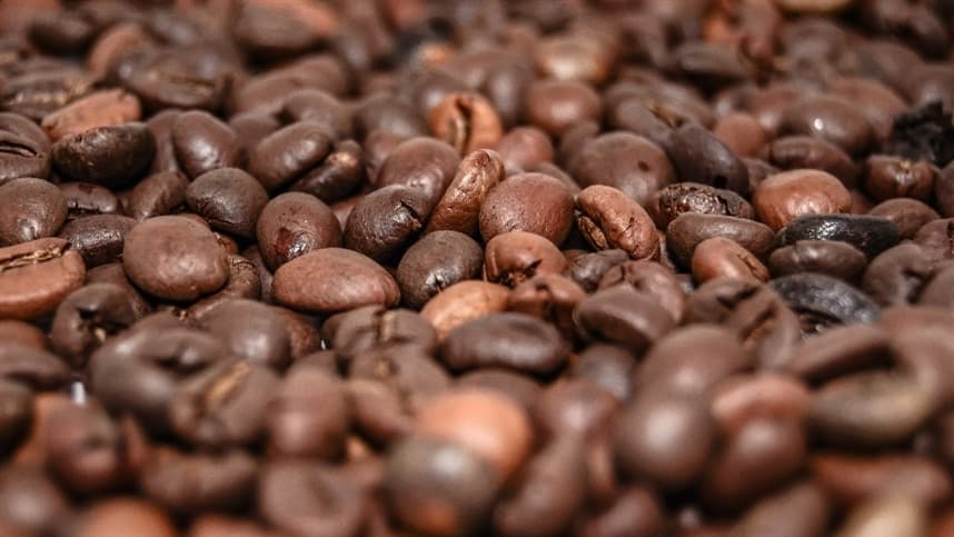 Preços do café arábica sobem em agosto apesar de alta oferta