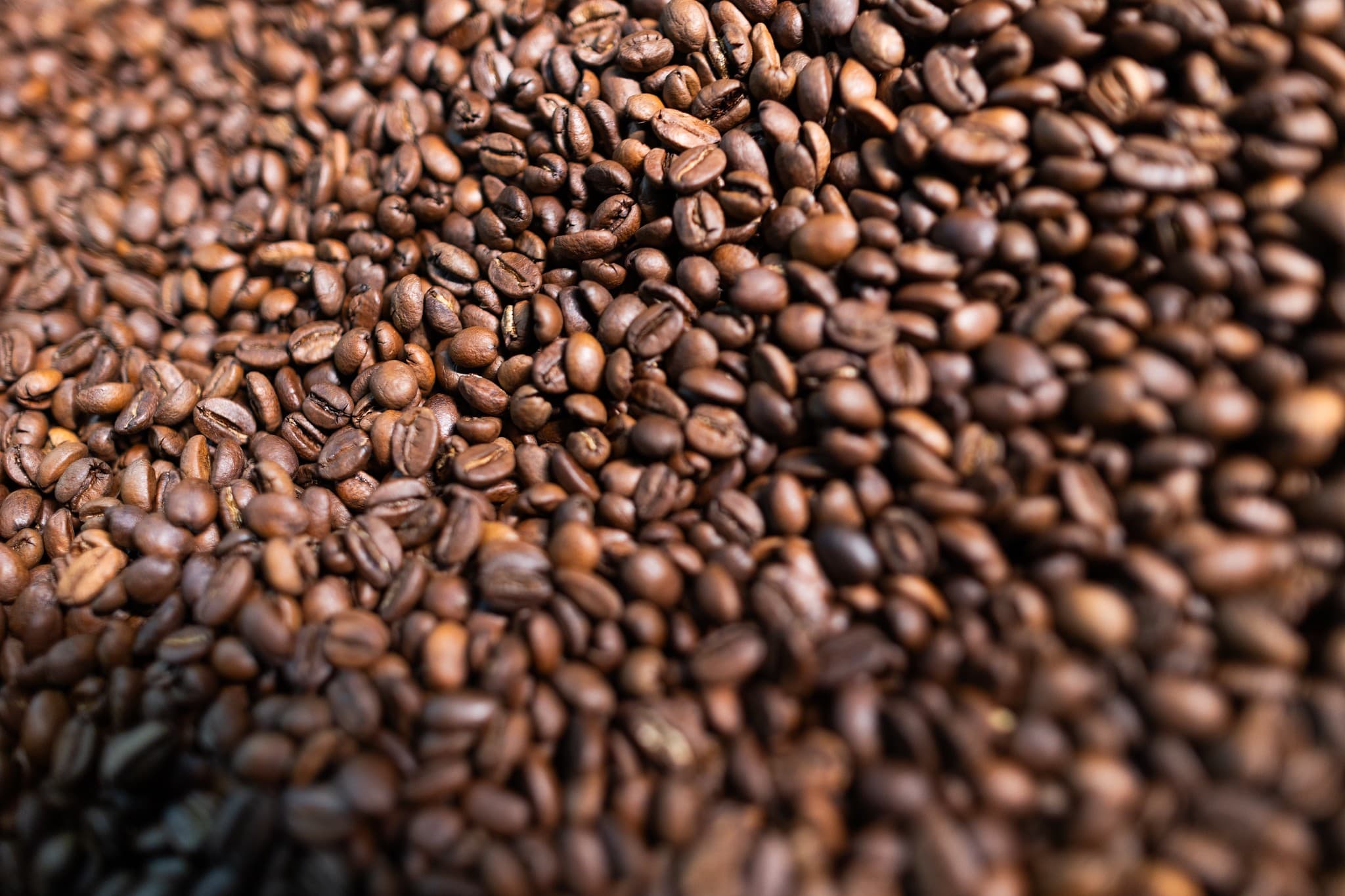 Café e açúcar em queda; cacau e algodão sobem nesta quinta-feira