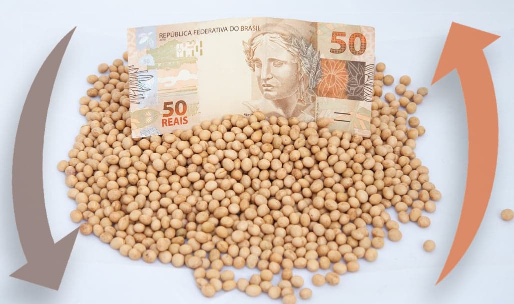 Mercado de soja no Brasil apresenta estabilidade e baixa liquidez
