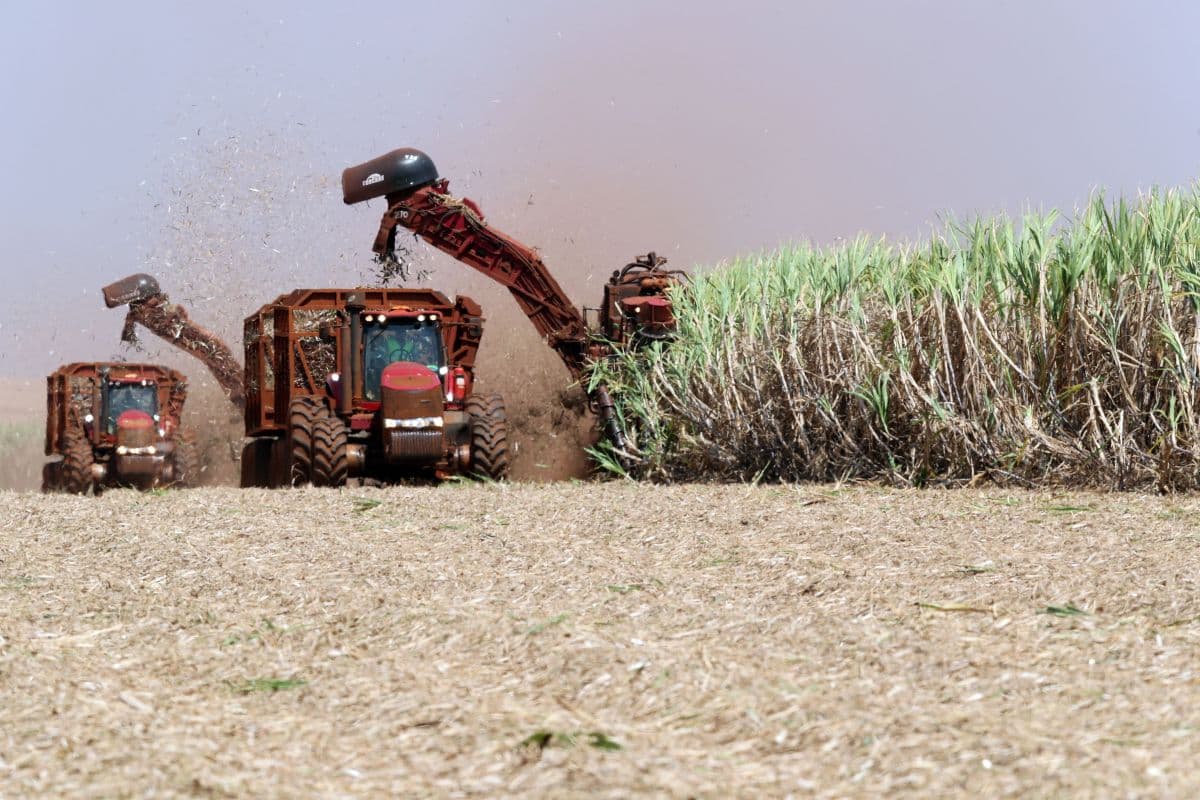 Conectividade no campo é crucial para decisões efetivas no agro