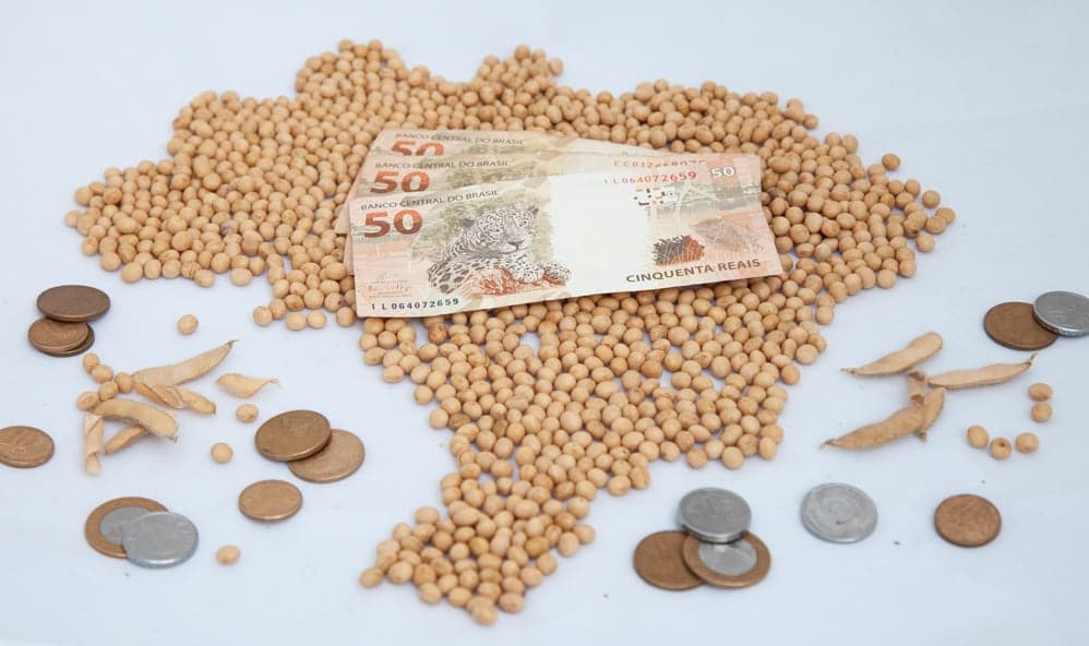 Soja tem alta no mercado brasileiro com valorização nos portos