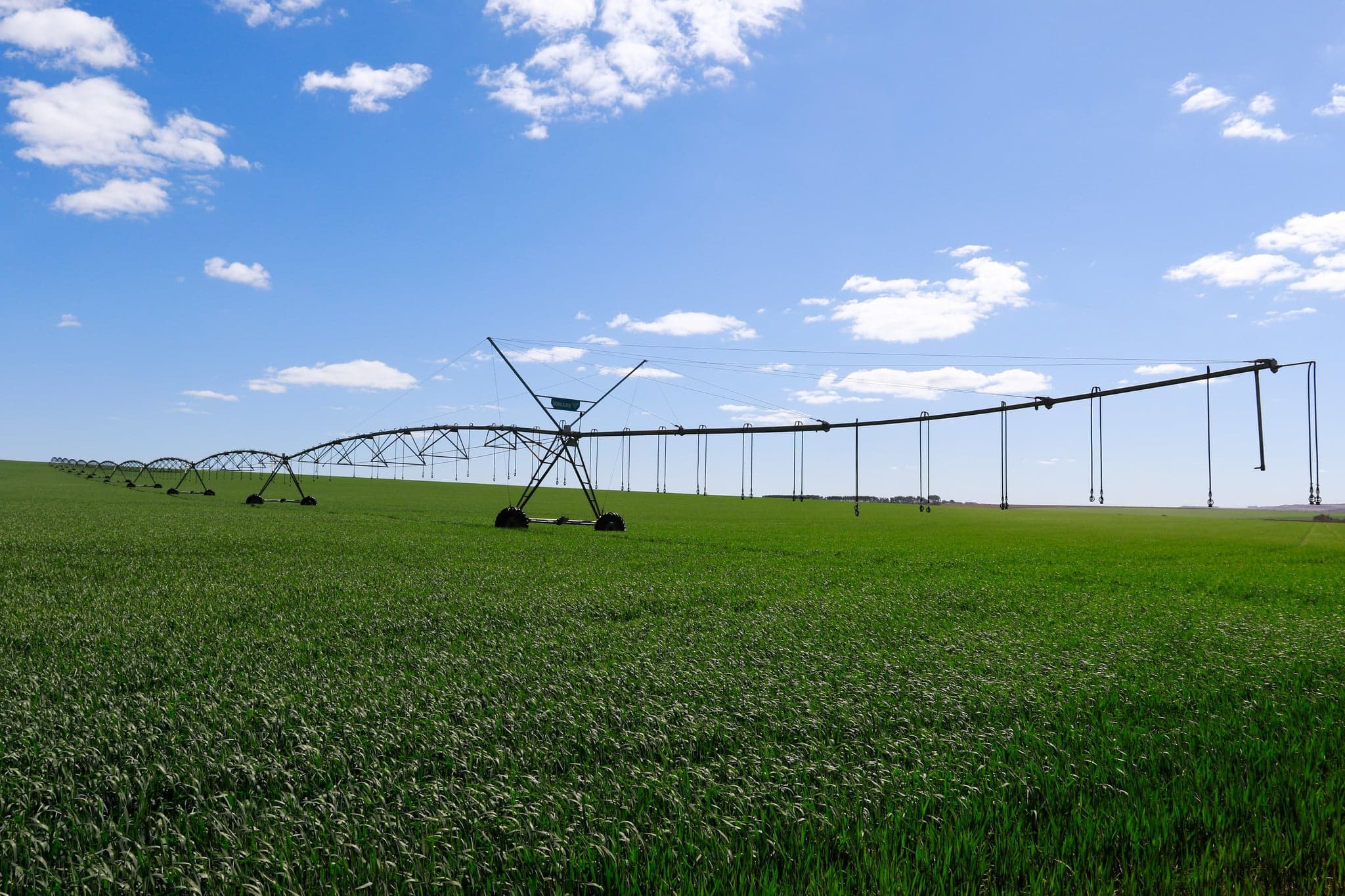 Irrigação brasileira pode chegar a 55 milhões de hectares até 2036