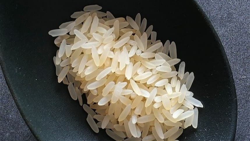 Mercado de arroz no RS enfrenta demanda fraca e negociações limitadas