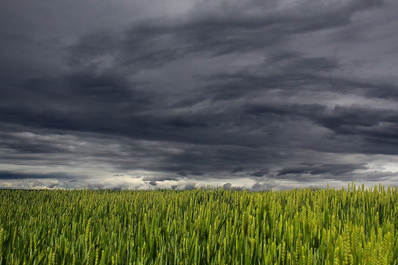 Frente fria traz chuvas e queda de temperatura em diversas regiões