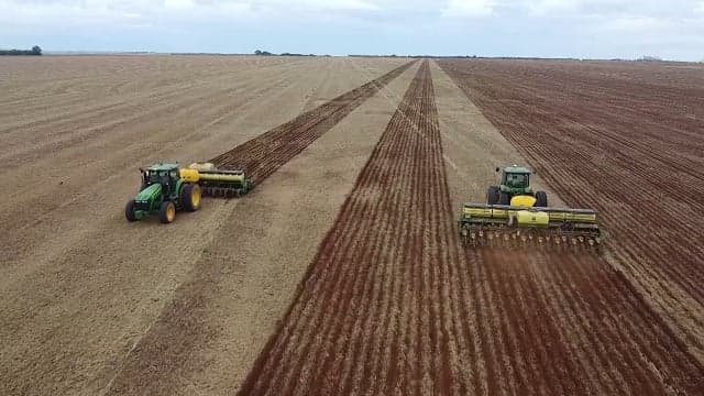 Rally da Safra avalia milho em meio a incertezas climáticas