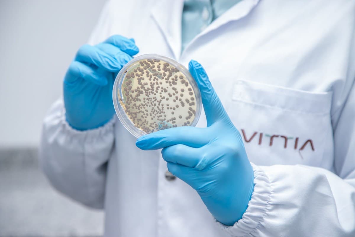 Governo finaliza regulamentação da Lei dos Bioinsumos para impulsionar biofertilizantes