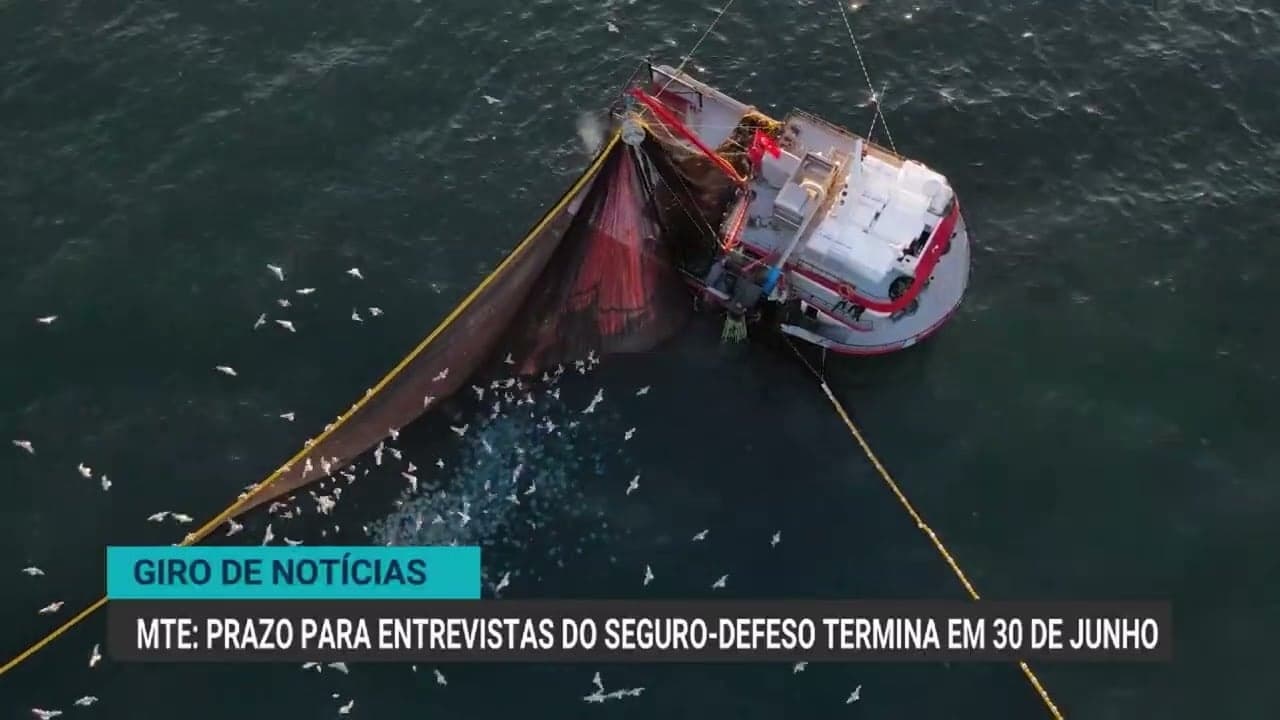 Paraná: 67% das propriedades rurais já regularizaram cadastro de rebanho