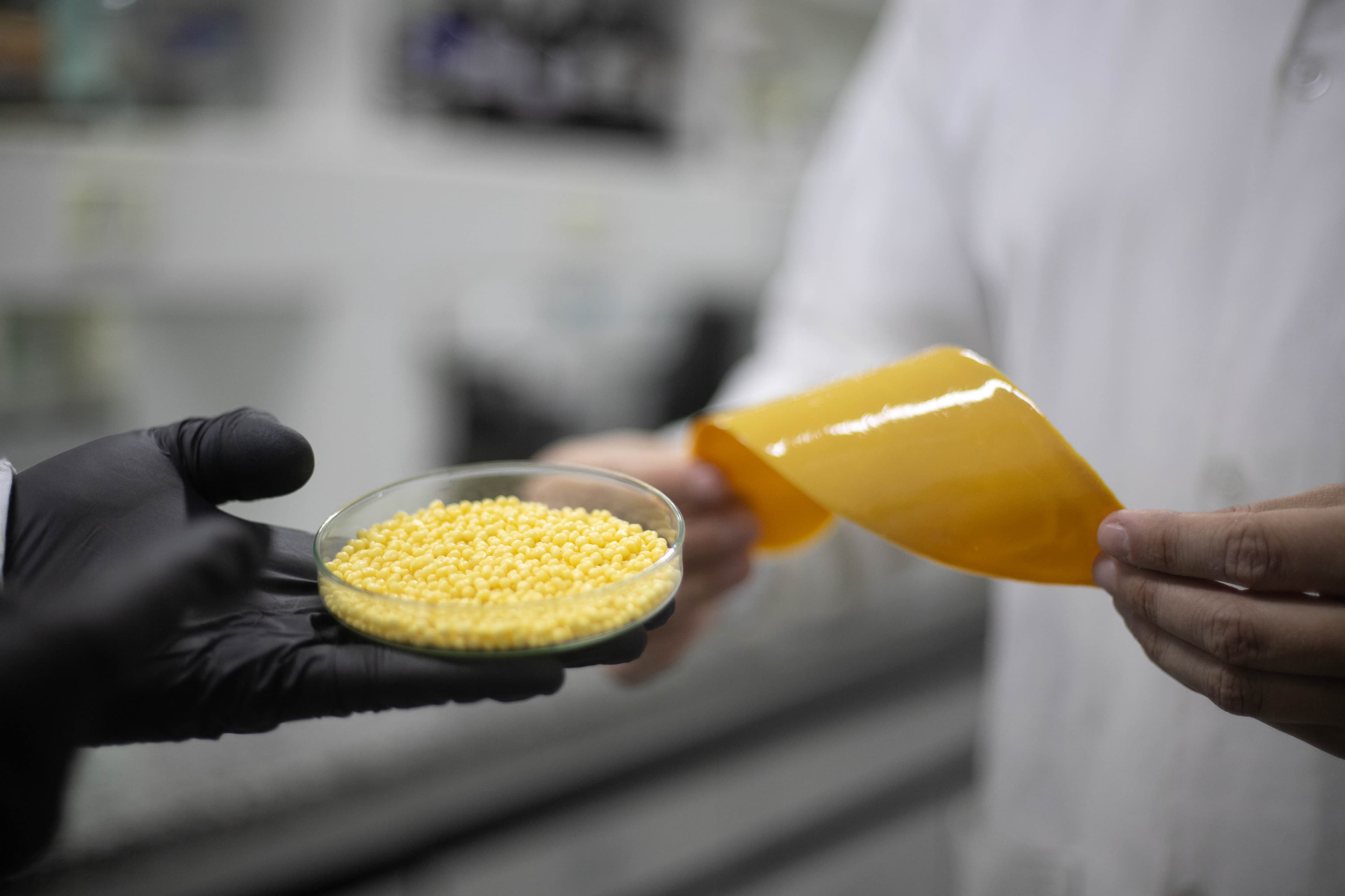 Desenvolvimento de revestimento inteligente melhora eficiência de fertilizantes