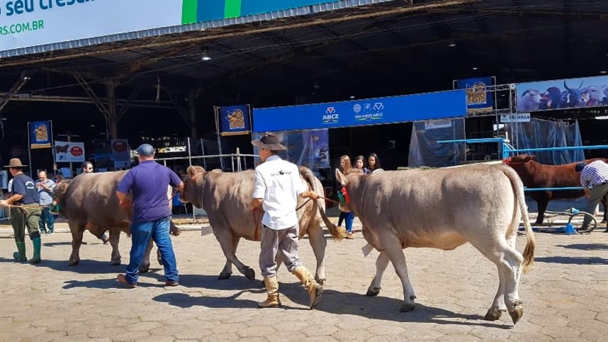 Expointer 2026: chegada de animais começa em 24 de agosto