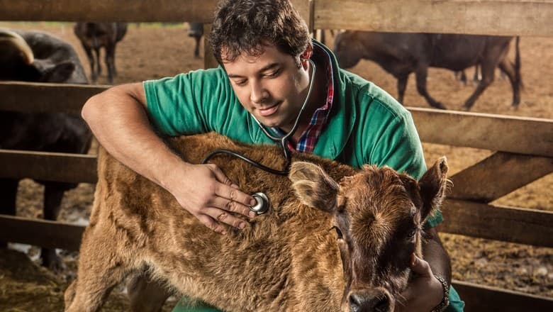 Lula veta inclusão de zootecnistas em piso salarial