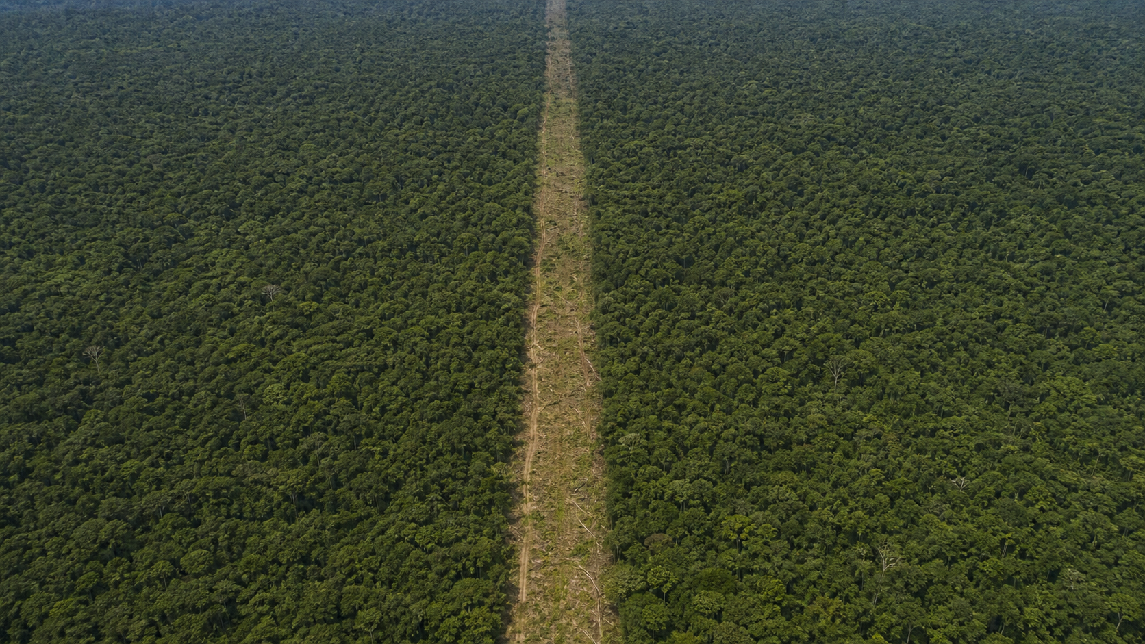 Câmara aprova projeto que reduz área da Floresta do Jamanxim