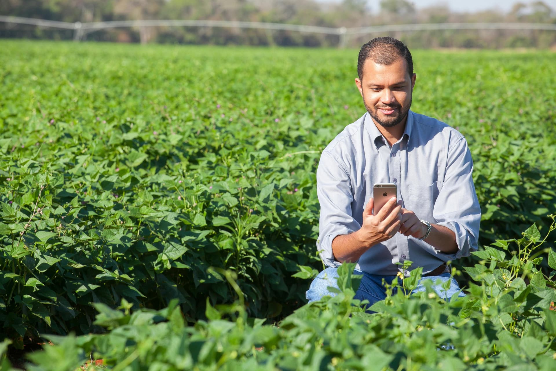 Aplicativo Meu Imóvel Rural transforma gestão de propriedades agrícolas
