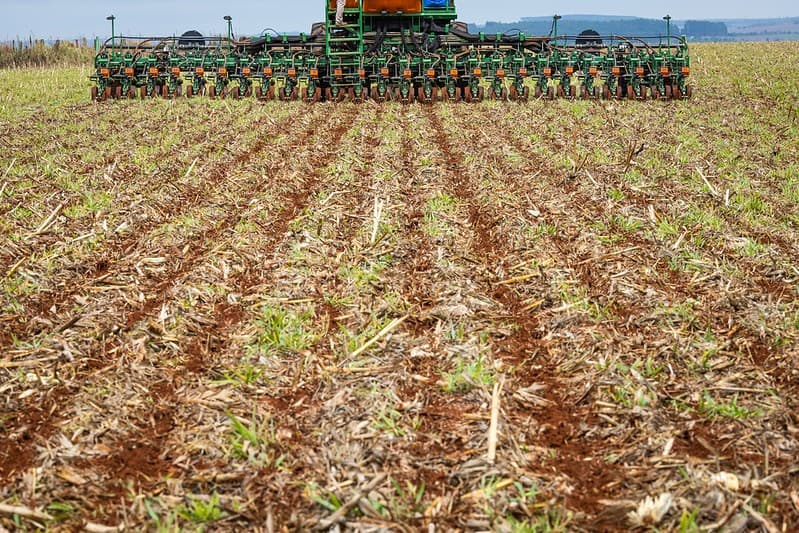 Início da semeadura da safra 2026/27 de soja em Mato Grosso