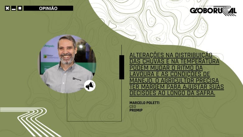 Safra 2026/27 exige cuidados devido a clima incerto e crédito limitado
