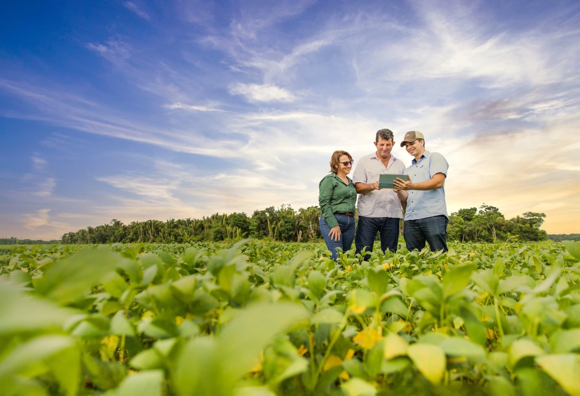 Cargill prioriza resiliência dos sistemas alimentares no Brasil