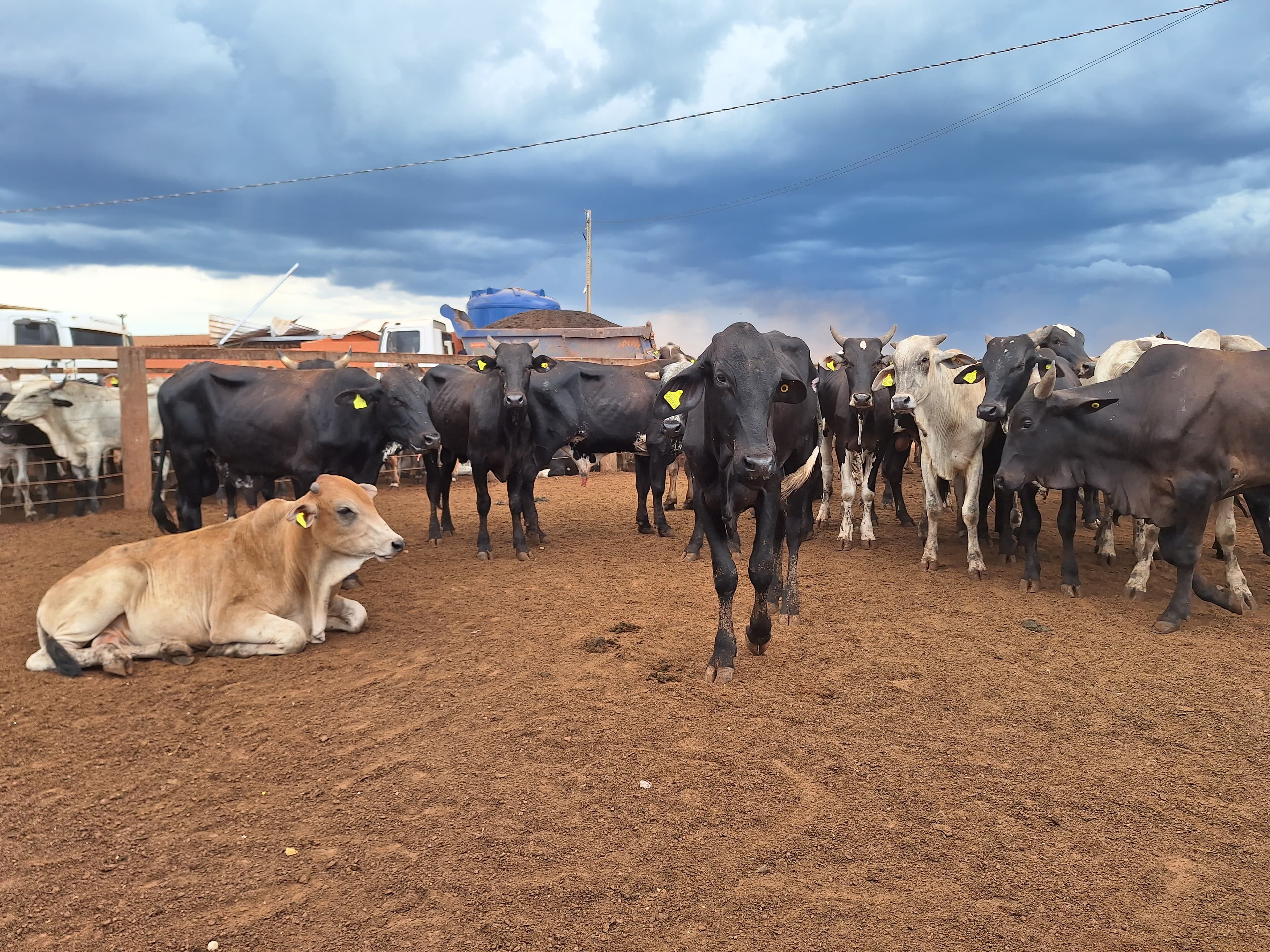 JBJ Agropecuária encerra compra de Fazenda Conforto em Goiás