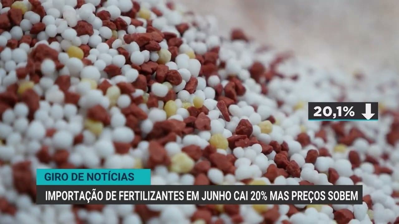 Exportações de café do Brasil crescem 26,3% em junho de 2026